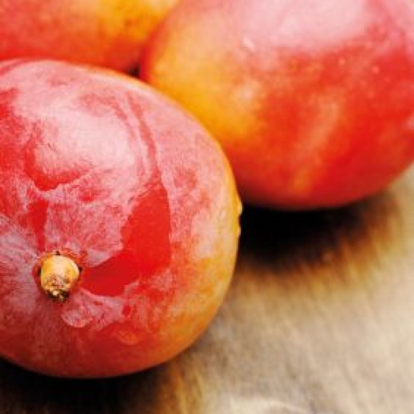 Flavouring - Mango